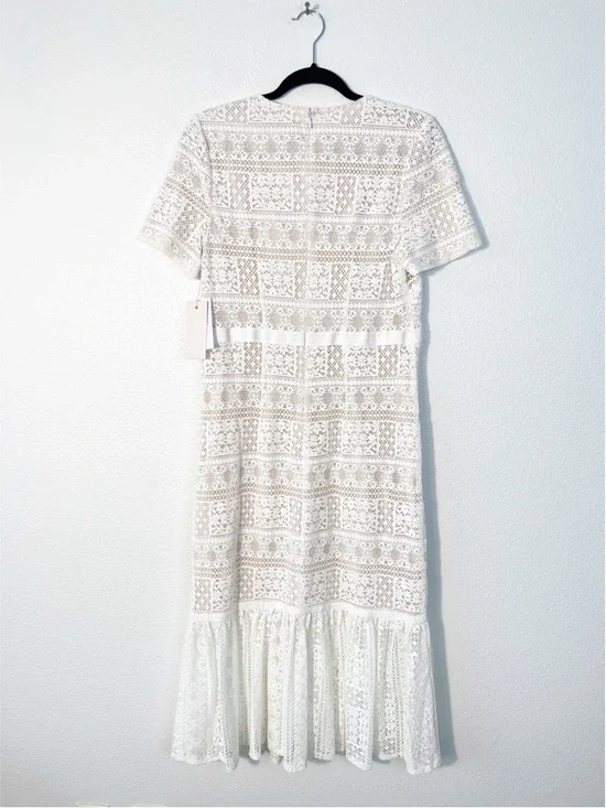 NWT Rachel Parcell Striped Lace Fitted Midi Dress in Lucent White Size Medium - Picture 5 of 7